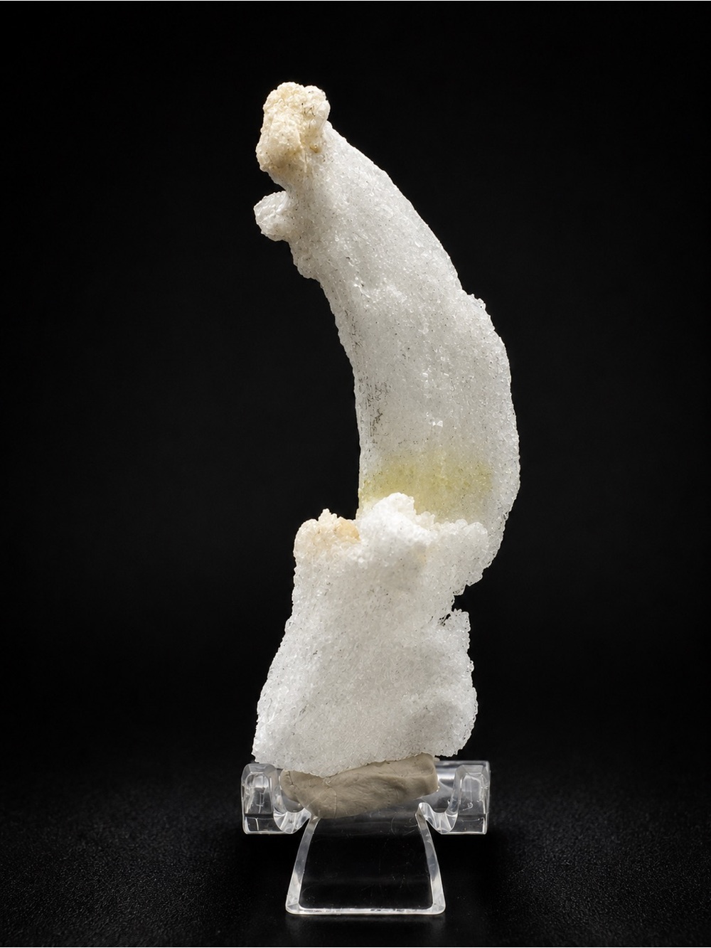 Ram’s Horn Selenite-Morocco